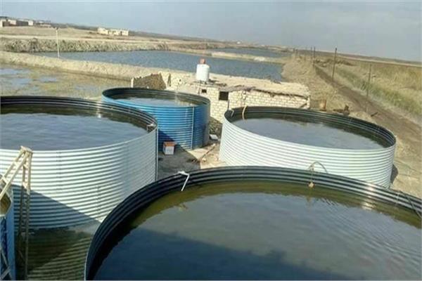 الاستزراع السمكى بالصحراء