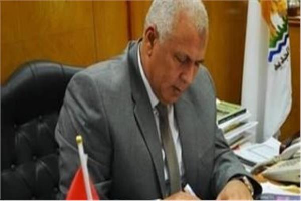 محافظ الوادى الجديد