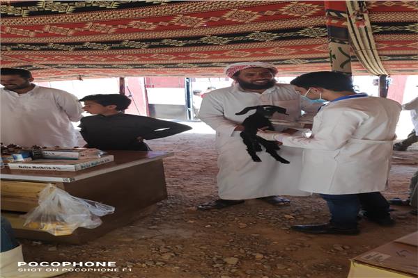 انتهاء أعمال القافلة البيطرية بقري مطروح 