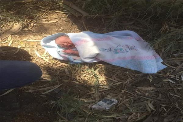 العثورعلى طفل حديث الولادة بقرية بالمحلة