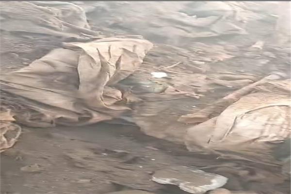جماجم بشرية أسفل الدائري