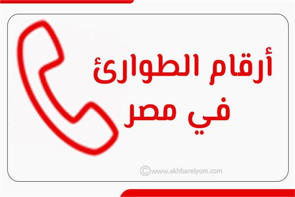 إنفوجراف  |أرقام الطوارئ في مصر