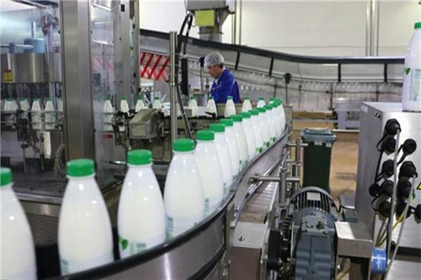 المشروع القومي لمراكز تجميع الألبان- أرشيفية
