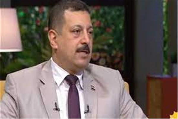 الدكتور أيمن حمزة المتحدث باسم وزارة الكهرباء
