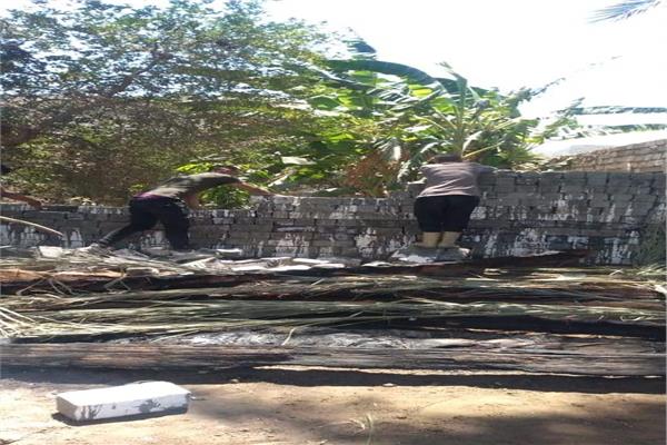  إزالة فى المهد لحالة تعدى على الأراضى الزراعية بالمنيا