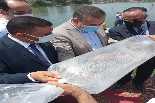 إلقاء زريعة سمك بلطي نيلي