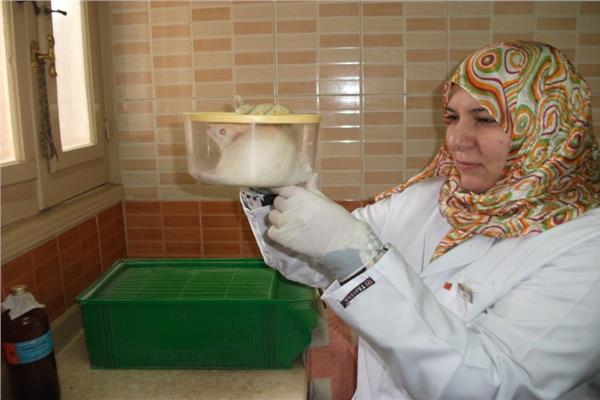  باحثه مصريه