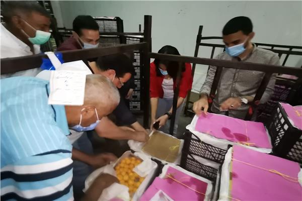  ١٧٠ طن مشمش فاسد خلال حملة مكبرة بابو حمص 