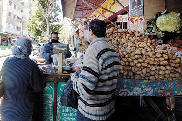  تراجع ملحوظ فى أسعار الخضراوات 