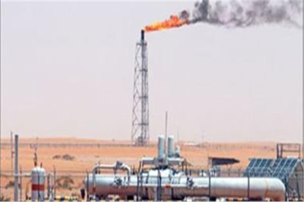 المشروعات البترولية