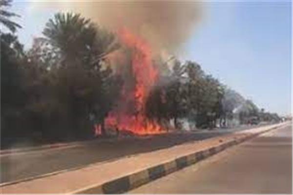 صورة أرشيفية