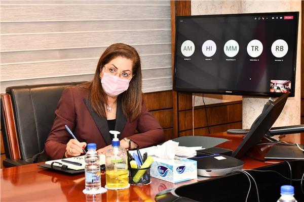 وزيرة التخطيط