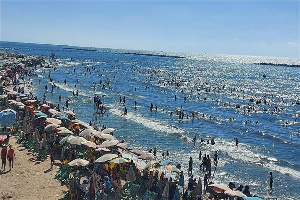 شواطئ راس البر