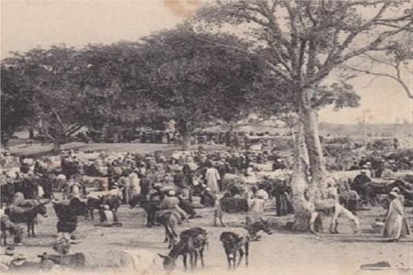 صورة تعبيرية