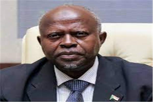 وزير الطاقة والنفط السوداني المهندس جادين علي عبيد
