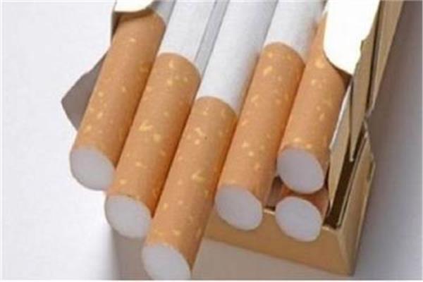 صورة ارشسفية 