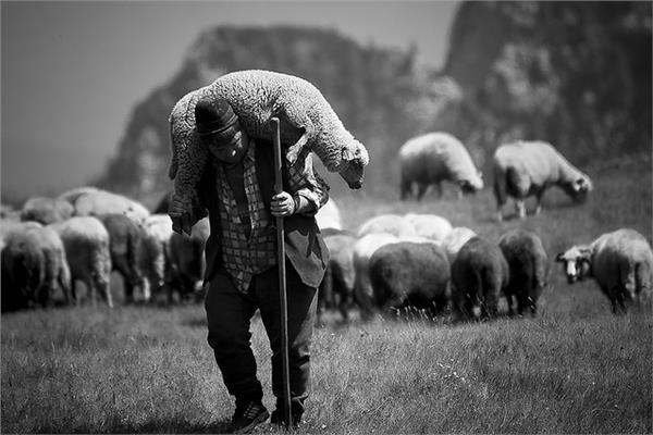 صورة تعبيرية