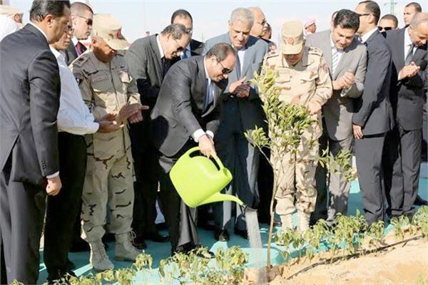  الرئيس السيسى يروى بذور التنمية الزراعية