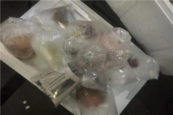 المضبوطات