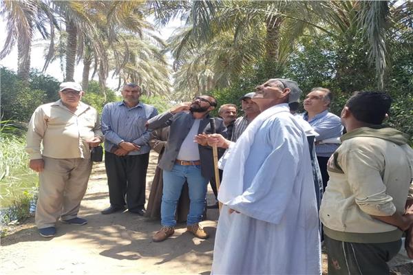 مدارس حقلية إرشادية للنخيل 