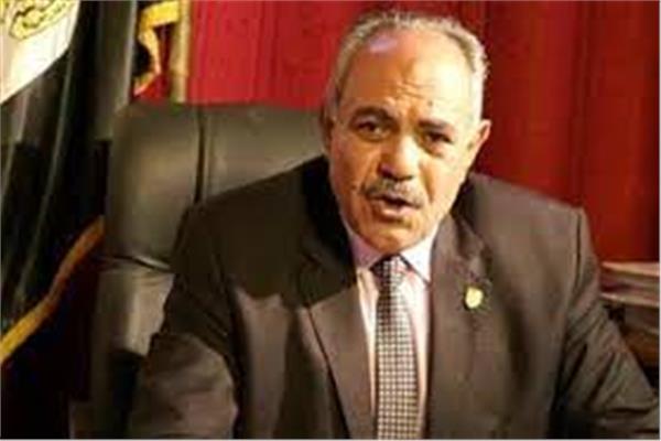 الدكتور نعيم مصيلحى، مستشار وزير الزراعة لمشروعات التوسع الأفقى