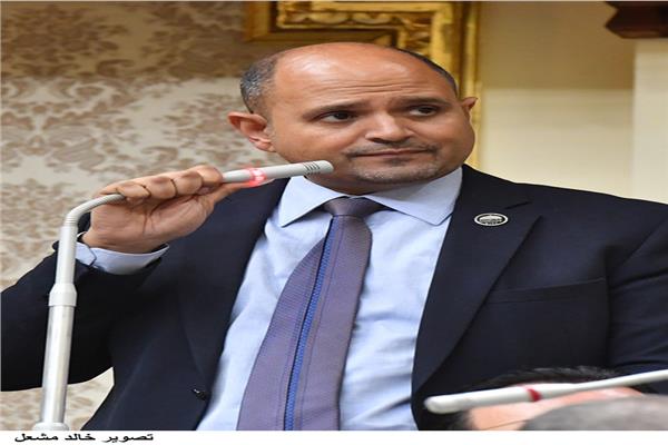 رئيس طاقة النواب