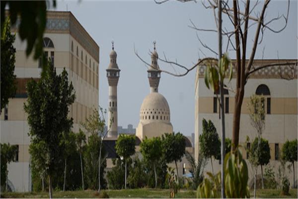 جامعة الأزهر 