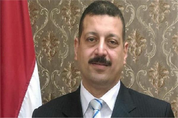 الدكتور أيمن حمزة المتحدث باسم وزارة الكهرباء