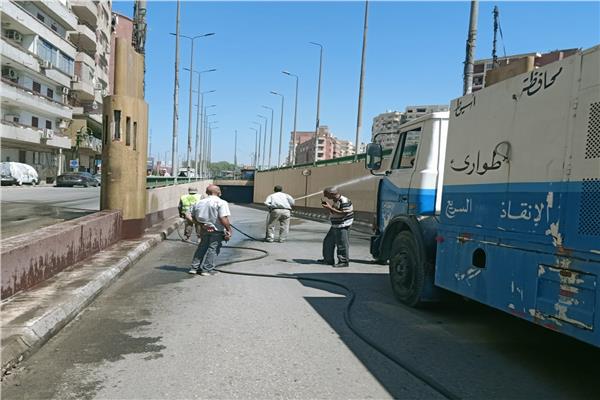 صورة موضوعية