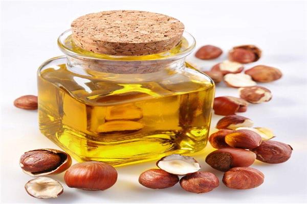 زيت البندق للشعر 