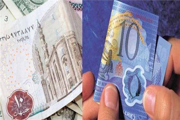 النقود الورقية والبلاستيكية- أرشيفية