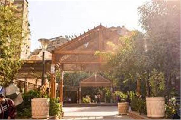 تربية فنية حلوان 