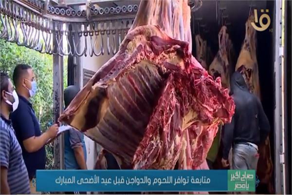 صورة من البرنامج