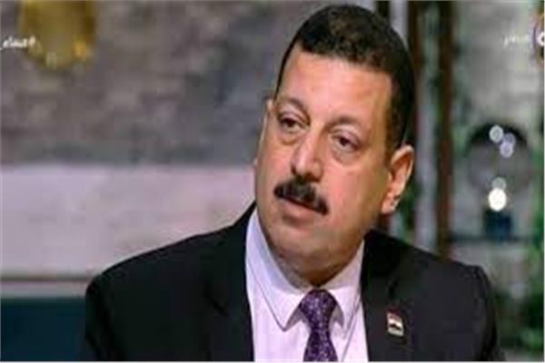الدكتور أيمن حمزة المتحدث باسم  وزارة الكهرباء