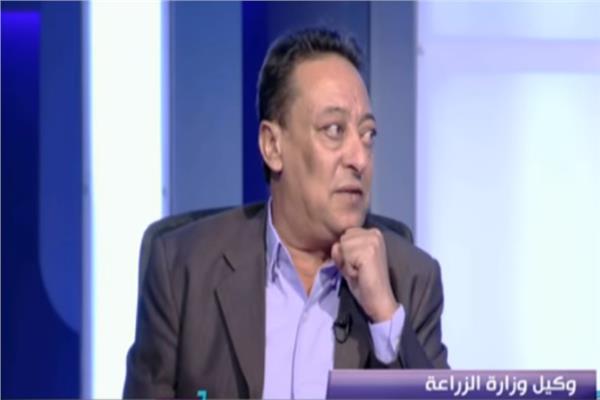 المهندس محمود فوزي عطا رئيس الإدارة المركزية للبساتين والخضر