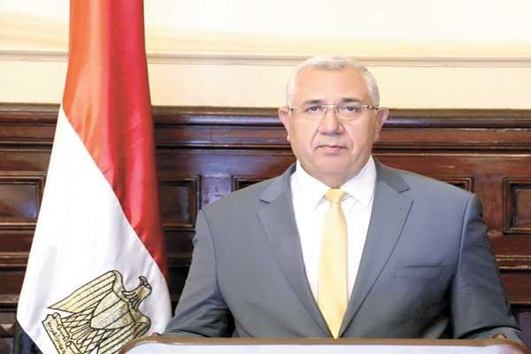 السيد القصير