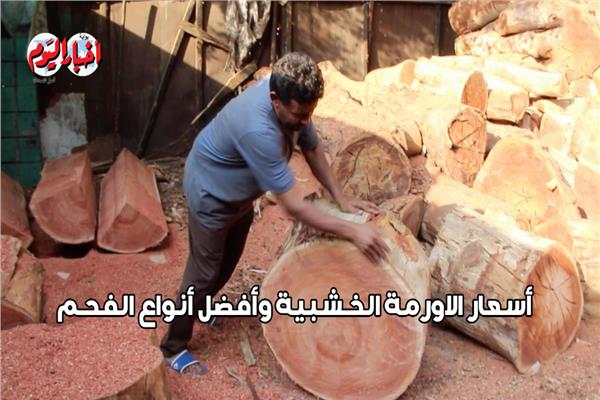 الاورمة الخشبية