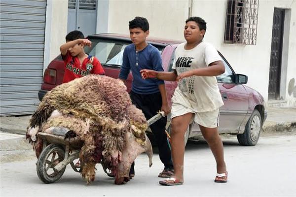 جامعو الجلود يجوبون الشوارع بعد صلاة عيد الأضحى