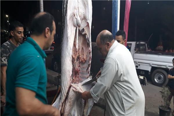 أقدم جزار فى دمنهور
