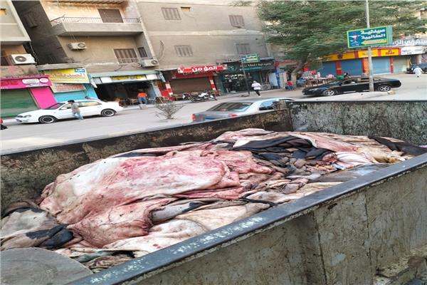 صورة موضوعية