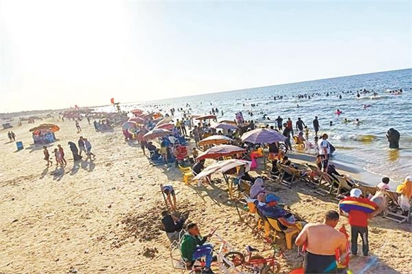 شواطئ جمصة كاملة العدد