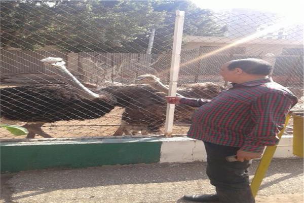 حديقة حيوان بالزقازيق