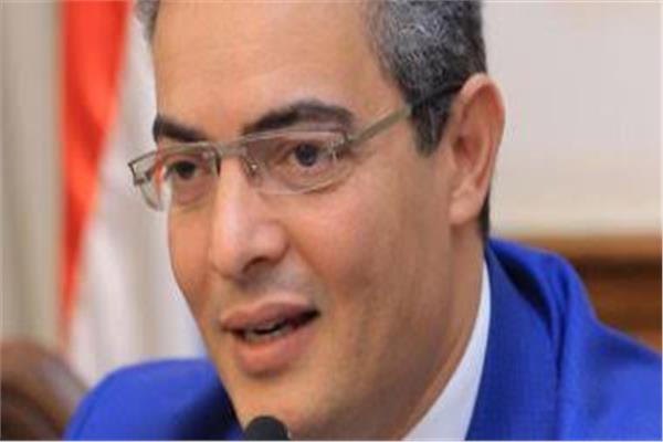 النائب الدكتور طارق سعدة نقيب الإعلاميين وعضو مجلس الشيوخ