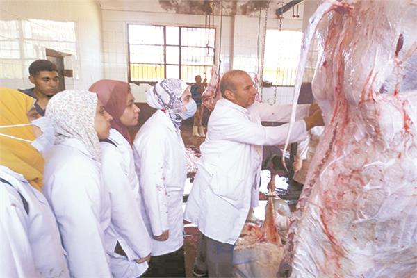 شرح قبل التنفيذ