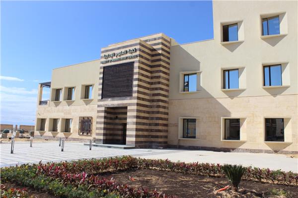 جامعة الملك سلمان الدولية 