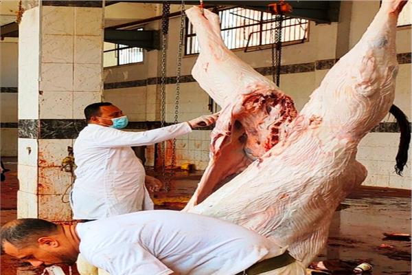 مجازر بمحافظة الشرقية