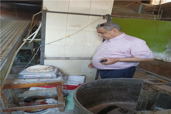 صورة موضوعية