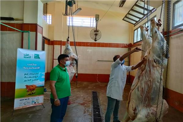  ذبح عدد 173 رأس عجل و توزيعها على 34600 أسرة" بقرى البحيرة خلال أيام العيد