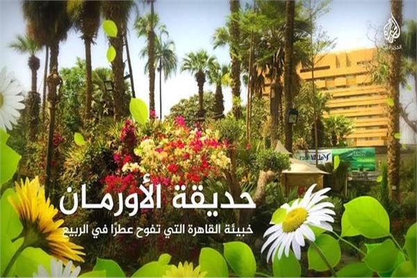 صوره موضوعية