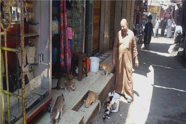 «ناصر» يطعم قطط وكلاب الشوارع بمصر والسعودية